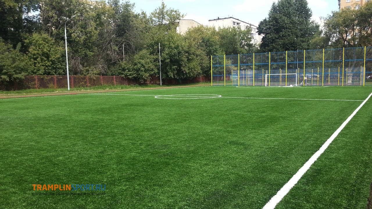 Реализованное футбольное поле в подмосковье
